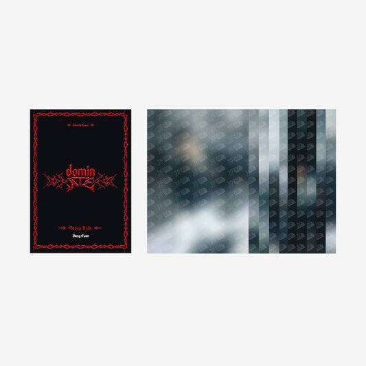 [Pre-Order] STRAY KIDS - dominATE SEOUL WORLD TOUR OFFICIAL MD POSTCARD BOOK